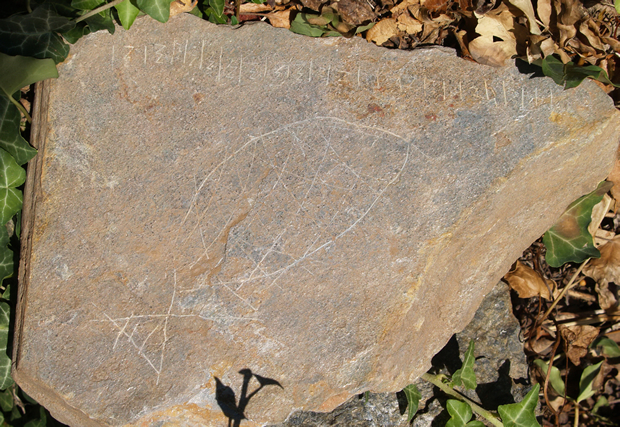 (3/8) Two fish were carved on two pavement slabs, one of them with a large open mouth. Researchers believe they may be in the salmon family. Next to one of them appear some mysterious strokes similar to an unknown writing, but do not hesitate with that!  #hillfortswednesday