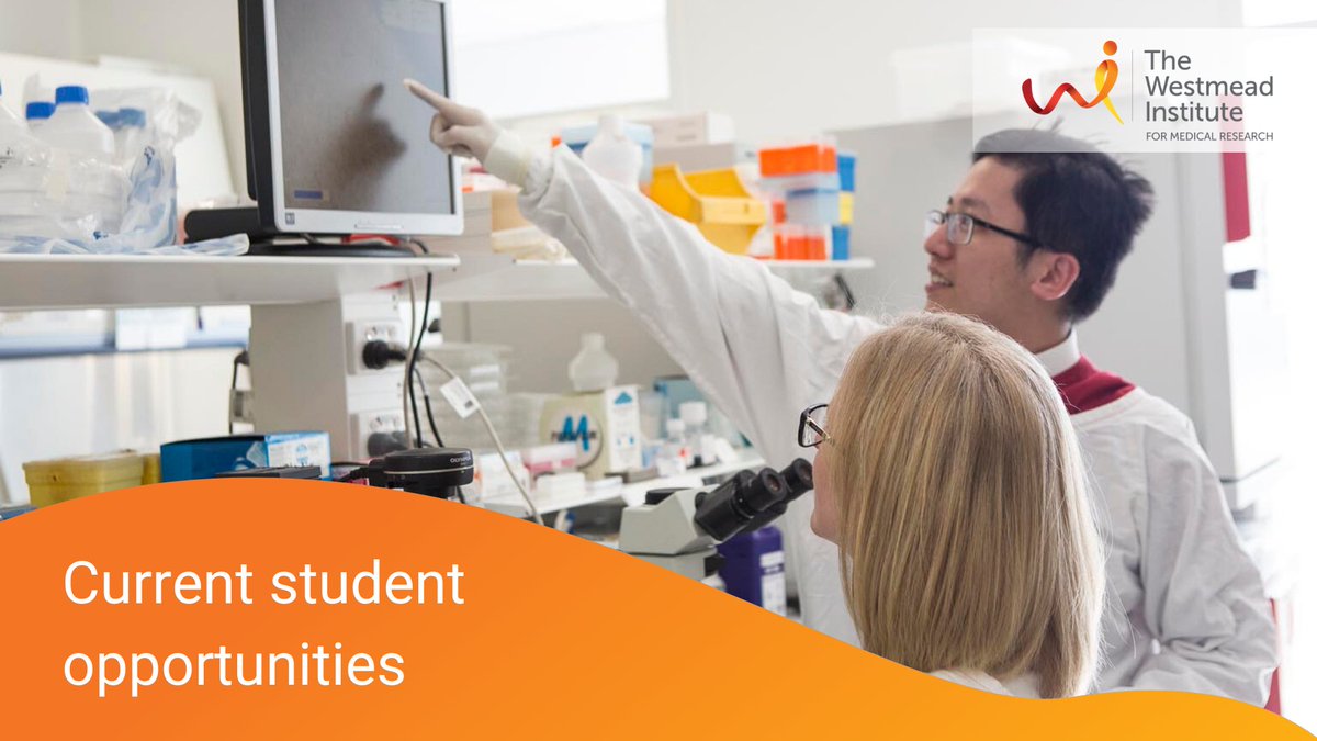 The Westmead Institute for Medical Research tweet media