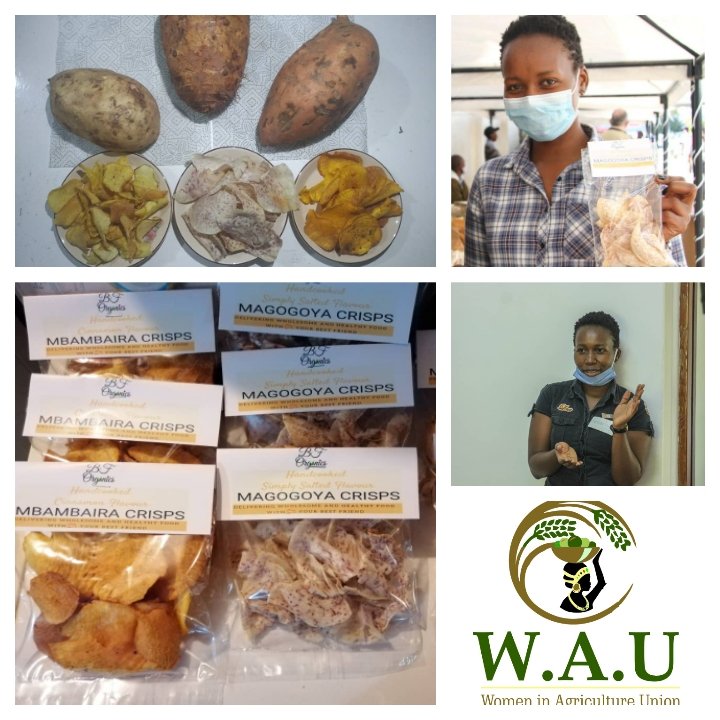 wau_femaleforce's tweet photo. BEVERLY NYAKUTSIKWA
 33years old from Mandara, Harare. Value Addition of sweet potato(mbambaira) and taro root (magogoya) crisps
In this Covid-19 lockdown
"I saw a need to provide alternative food choices utilising what is already available to us as a nation."
#simbidzebasa https://t.co/vgK7yHsnPF