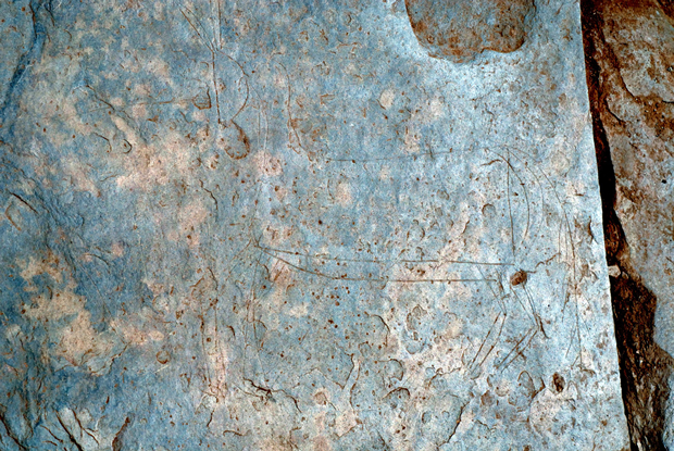 (5/8) And even more: in other slabs, you can appreciate the representation of horses. Horses, fish... are common in NW Iberia Iron Age graphic depictions. And we have a magnificent object to prove it in the next tweet.  #hillfortswednesday