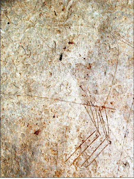 (5/8) And even more: in other slabs, you can appreciate the representation of horses. Horses, fish... are common in NW Iberia Iron Age graphic depictions. And we have a magnificent object to prove it in the next tweet.  #hillfortswednesday