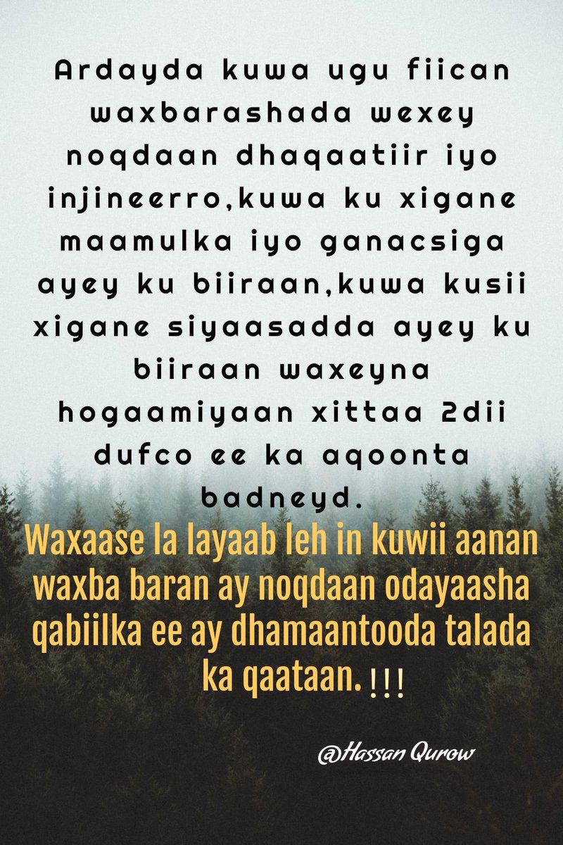 Hassan Qurow (@hassanqurow) on Twitter photo 
