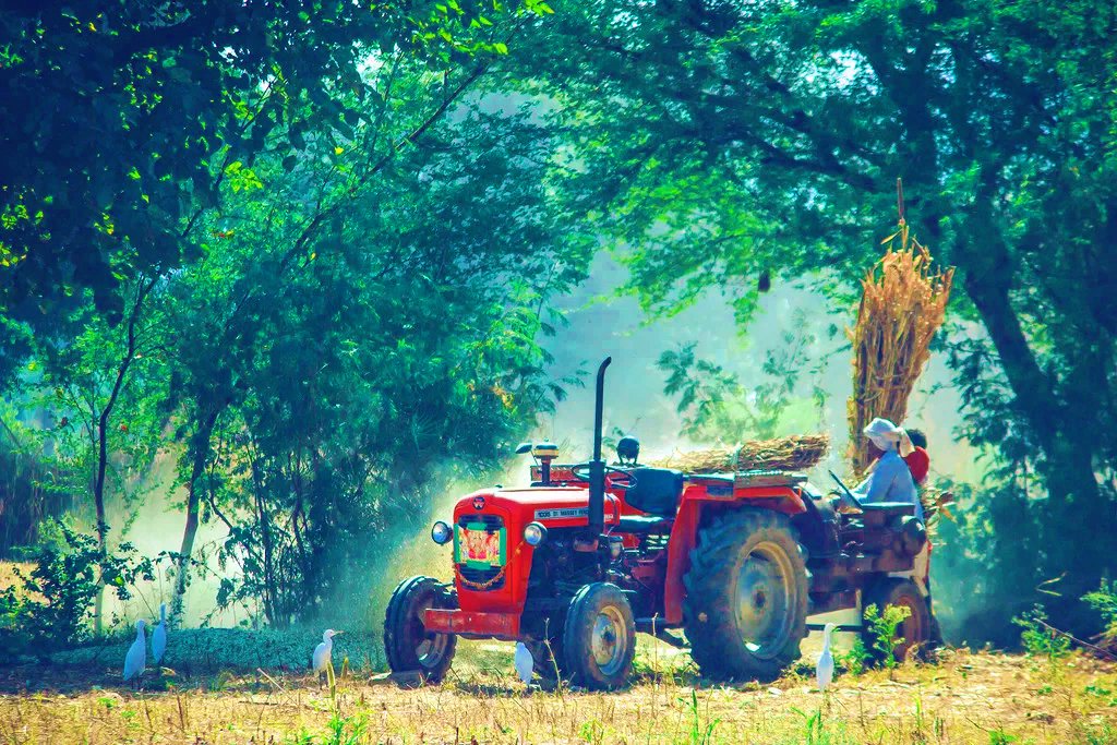 bikampadventure's tweet photo. A green planet, with raining season.Birds, trees, fields, and view of hills. Beauty of nature, and beauty of village. Image Credit: @theroutecause
#nature #sustainable #secure #incredibleindia #Village #travel #beautifuldestinations #inspiration #WednesdayWisdom #beautiful https://t.co/DtPeeTjo5S