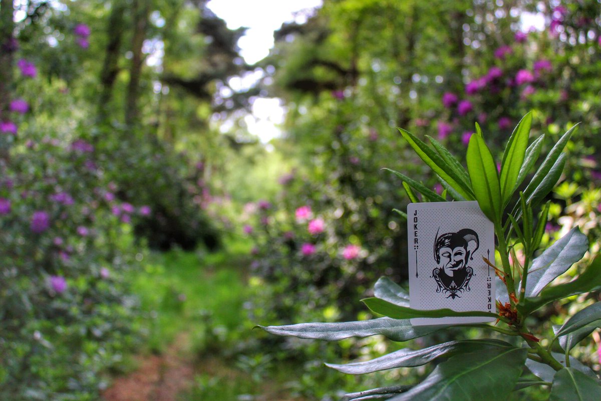 richrmagician's tweet image. If you’d have told me 6 months ago that I’d be performing more virtual magic than in person I’d have thought you were joking! 😂
Next Public Virtual Magic Show:
Thursday at 7pm - 2 Tickets left - £10 each
Message me to book your ticket today! 👍🏻
#virtualmagic #zoommagic