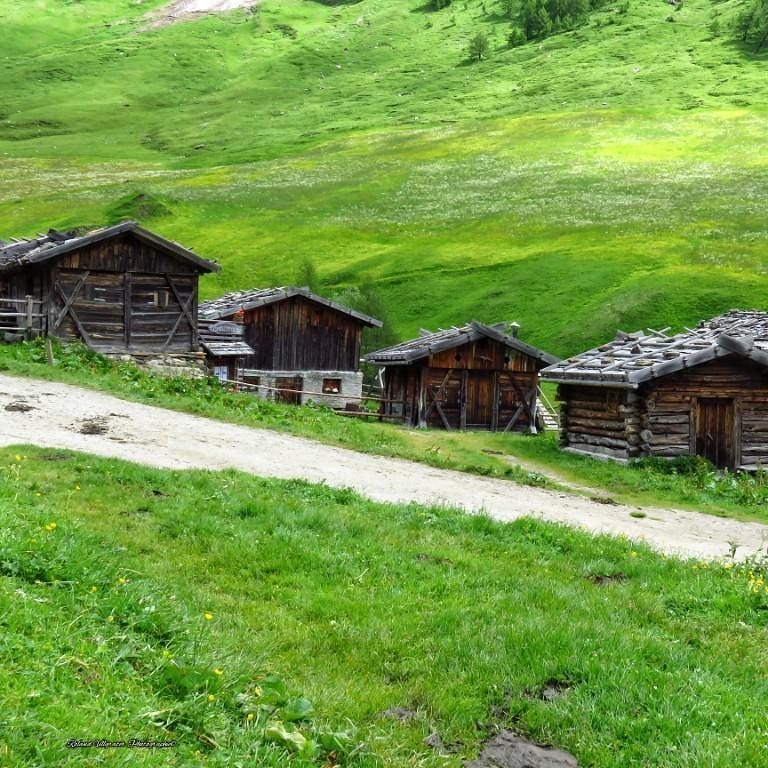 valpusteria's tweet photo. Das Fane Almdorf im Valsertal bei Meransen. Ein Ideales Ziel für einen Familienausflug 👨👩👧👦♥️
La Malga Fane a Valles, Maranza. Una meta ideale per famiglie 👨👩👧👦♥️
#fanealm #meransen #maranza #gitschbergjochtal #Südtirol #AltoAdige #trentino #Trentinoaltoadige #malga #malghe https://t.co/zCk3nCWgtP