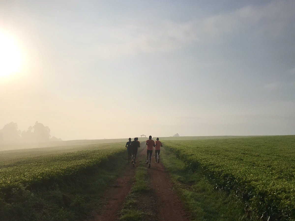 2RunningClub's tweet image. We never have enough of running in this amazing place. Nandi Hills!