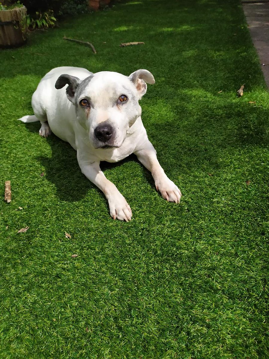 Tim Mitchell 🌹💙 tweet media