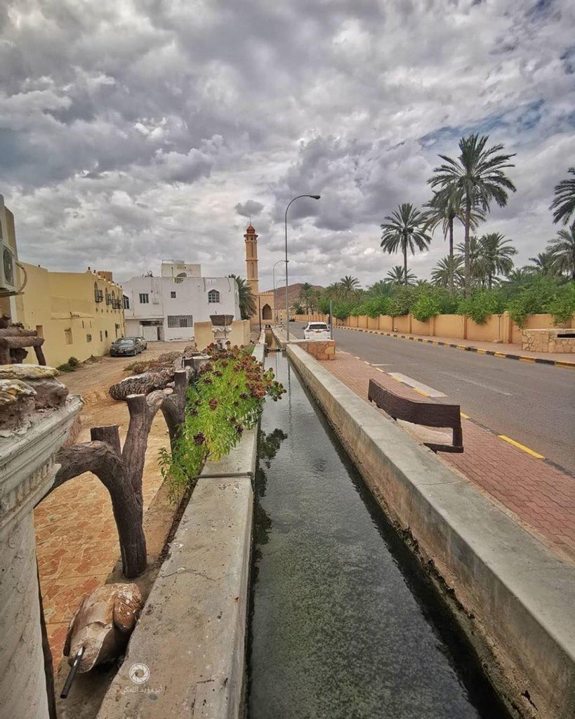 راق لي 
لا شيء في هذا الوجود يعيش لنفسه !!
النهر لا يشرب ماءَه ،والبحر لا يأكل سمكَه، والأشجار لا تأكل ثمارَها والشمس لا تشرق لذاتِها والزهرة لا تعبق لنفسِها وذات الضرع لا تشرب لبنَها .
خُلقت الأشياءُ لتخدم غيرَها هذه حكمةُ اللهِ ورسالتُهُ لنا لنعيش لبعضِنا.
(كلامٌ جميلٌ للتأمُل)