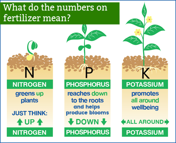 daktariwaudongo's tweet photo. Understand your basic NPK - Make informed choices when doing your purchase. What does your crop really need?
#webpic https://t.co/80ARuzfYR1
