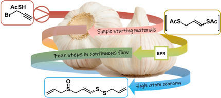 Short total synthesis of ajoene, (E,Z)-4,5,9-trithiadodeca-1,6,11-triene 9-oxide, in batch and (E,Z)-4,5,9-trithiadodeca-1,7,11-triene in continuous flow. doi.wiley.com/10.1002/chem.2…