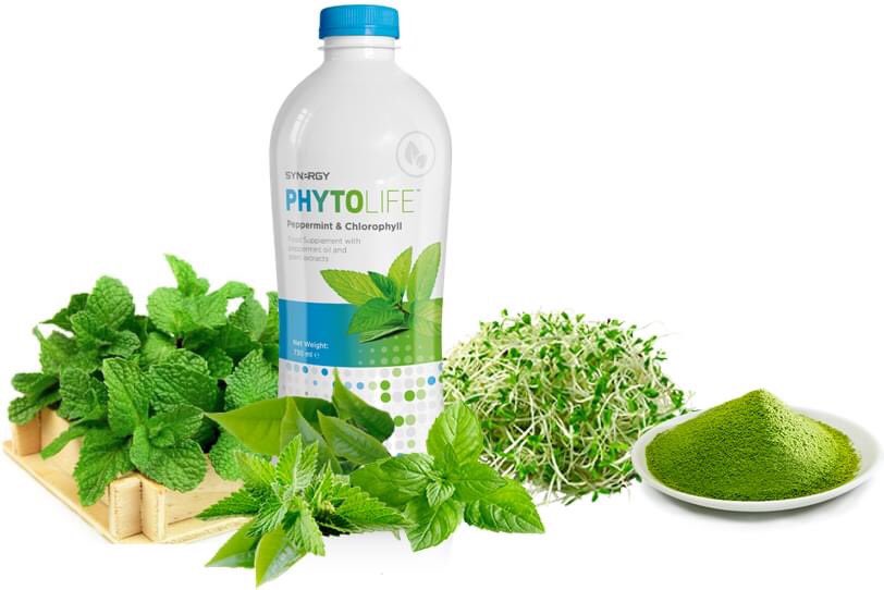 Stop your #acidreflux #symptoms fast and naturaly with PHYTOLIFE! Other benefits
💚#stronger #blood 
💚#alcaline #body 
💚#supports #weight loss 
#detox #green #healthy #cleanse #weightloss