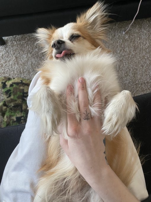 Yawnz https://t.co/yekD6adNNH