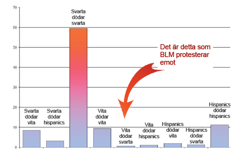 U.S. murder statistics: Blacks kill blacks 60%, blacks kill whites 8%, whites kill whites 8%, whites kill blacks 1%. Please note #BlackLivesMatter pretends it is 100% whites kill blacks. The movement is built on a blatant lie, addressing none of the black community's real issues.