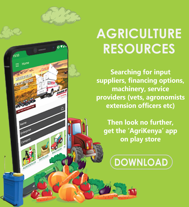 Agriculture in Kenya tweet media