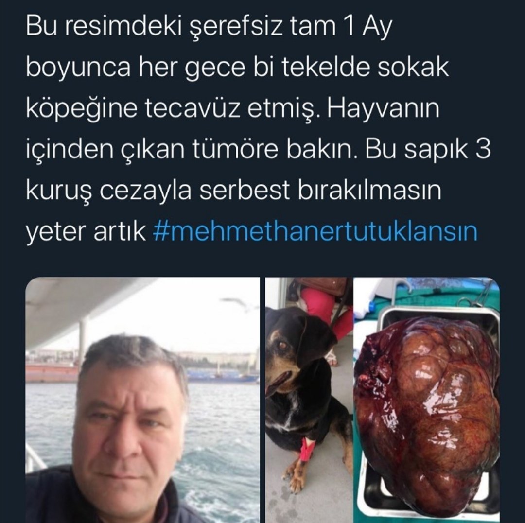 #MEHMETHANERTUTUKLANSIN