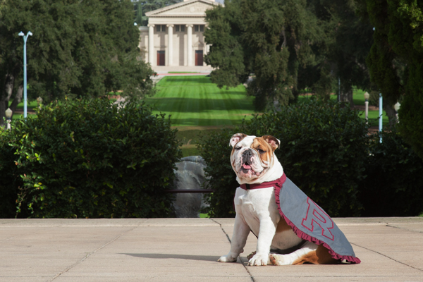 Let’s share some  #NationalMascotDay love to some of my other mascot pals today! THREAD Happy  #NationalMascotDay, Addie! Have yourself a day worthy of the Queen you are.