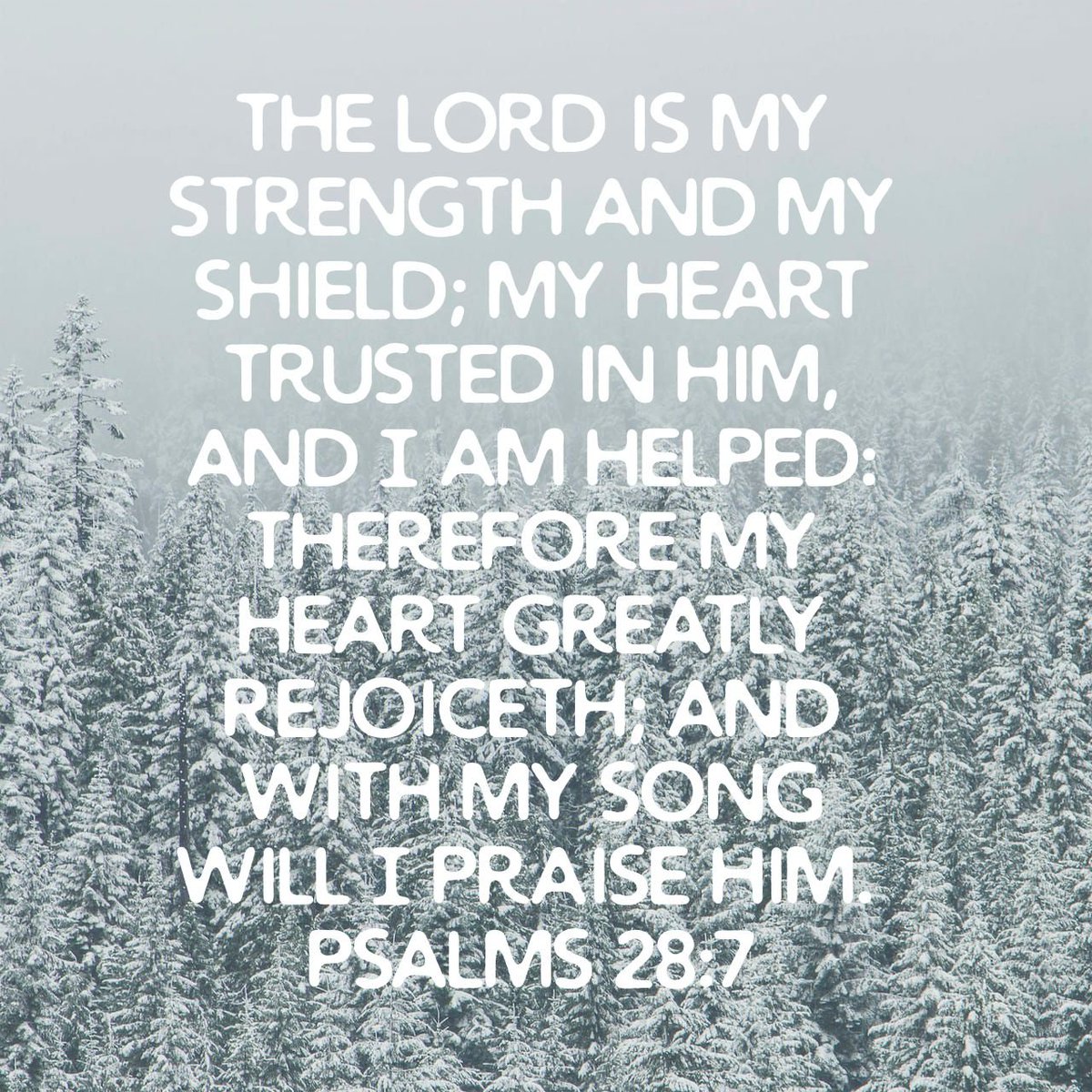 GailCook1's tweet image. The Lord is my strength and my shield; my heart trusted in him, and I am helped: therefore my heart greatly rejoiceth; and with my song will I praise him.
Psalms 28:7 KJV
bible.com/bible/1/psa.28…