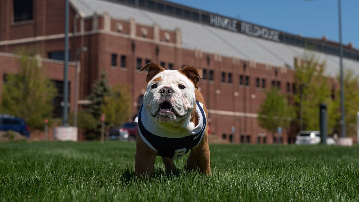 Today is my first  #NationalMascotDay. I have the absolute best job in the world. I am proud to be the Butler Bulldog!  #GoDawgs 
