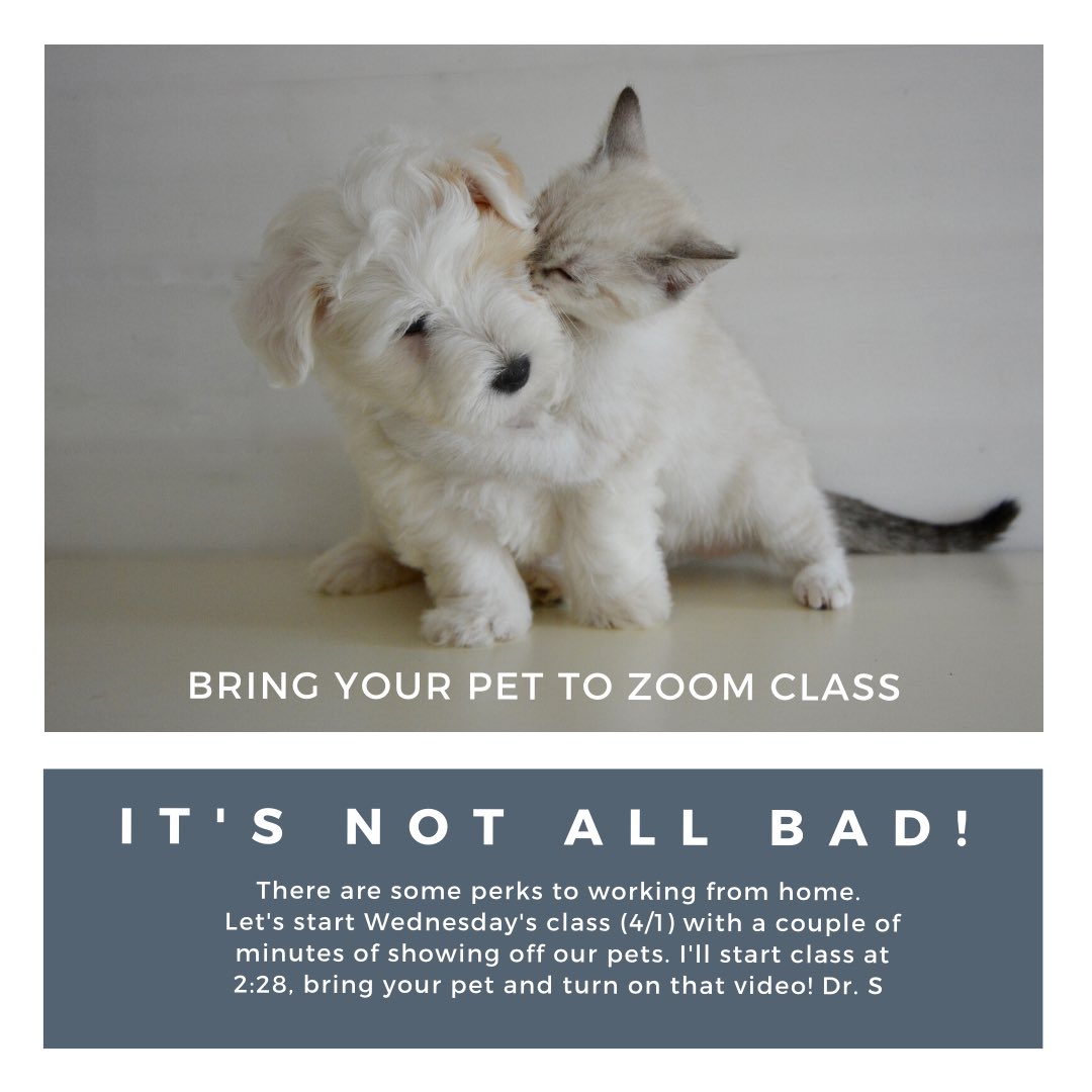 Or when we emergency transitioned, an invite to zoom with pets or outdoors: