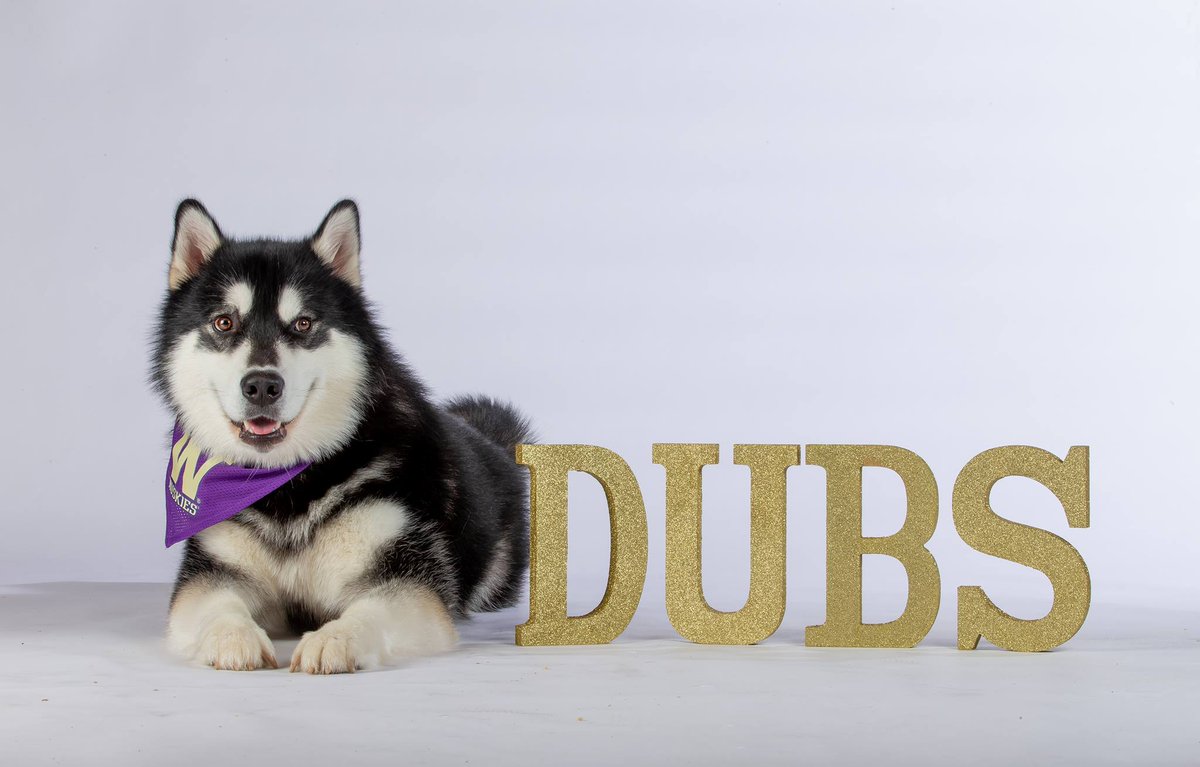 Dubs after a stellar first year on the job, you are ready to crush it again. Also you are adorable. Happy  #NationalMascotDay!