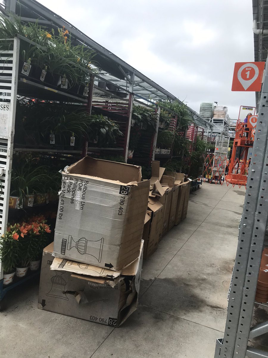 Lucas Santa Cruz tweet media