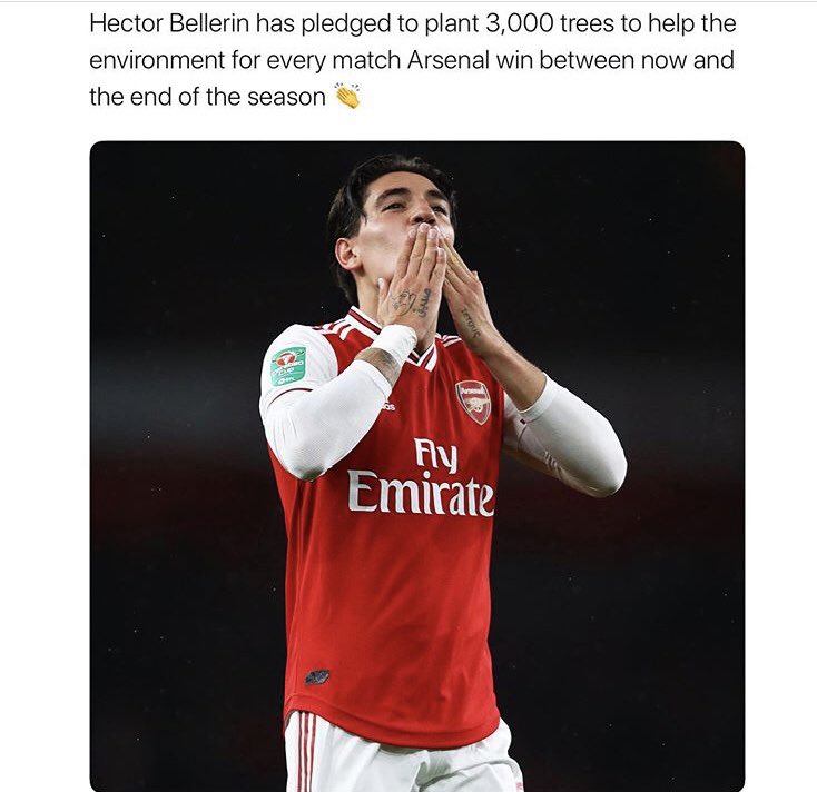 Luckily we plant a tree every time you buy a HydroSport bottle so we won’t disappoint like <a href="/Arsenal/">Arsenal</a> usually do 🤪
#bellerin #Arsenal #ManCity #PremierLeagueIsBack #PremierLeague #AFC #MCFC