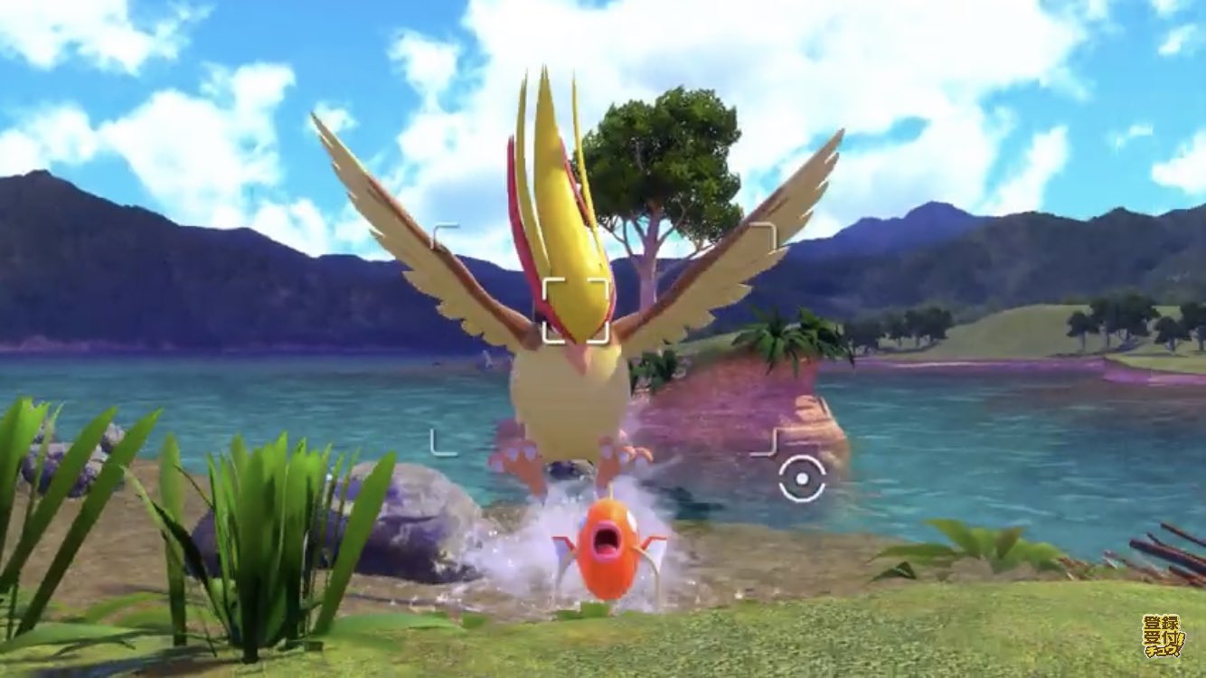 海風マサナ 悲報 コイキング食われる なお ピジョットの図鑑説明通り Newポケモンスナップ 海風マサナ 悲報 コイキング食われる なお ピジョットの図鑑説明通り Newポケモンスナップ