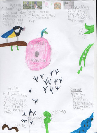 overleighY3's tweet photo. Marcus the scientist planned a seed dispersal investigation, then presented his facts in an eye-catching poster! I think your Death Mask would make Tutankhamun very jealous indeed! What a superstar you are Marcus, well done! https://t.co/2YX22L9Eml