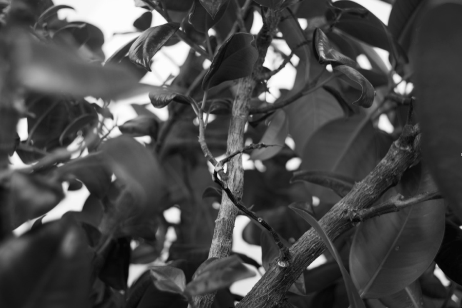 MsRobertson13's tweet photo. Some more additions to this week's Higher Photography submissions...well done 👏 https://t.co/NPRLESMLnz