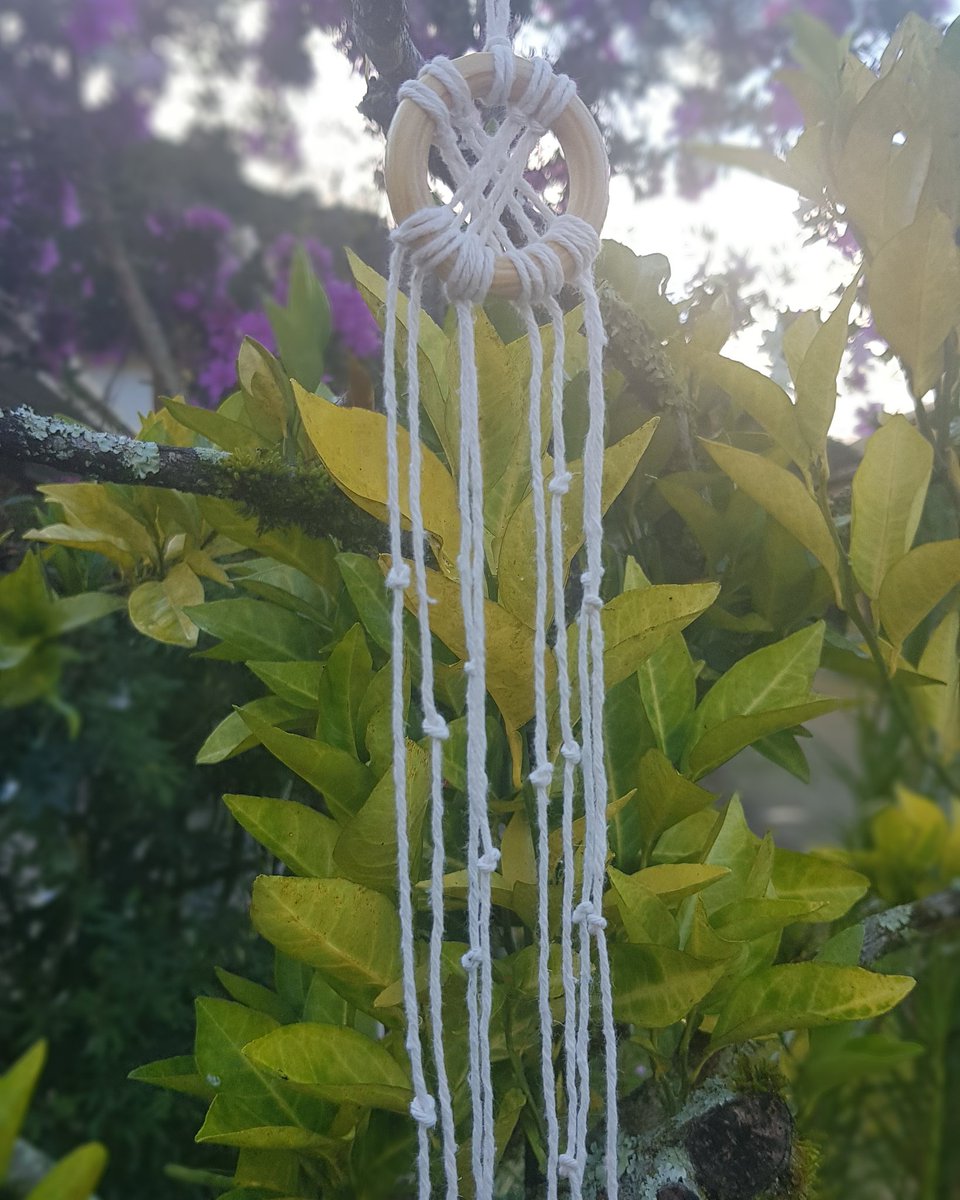 osanamacrame's tweet photo. Um Filtro dos Sonhos feito de Macramê pra você!
#macrame 
#osanamacrame 
#filtrodosonhos https://t.co/fw12tY0nV2
