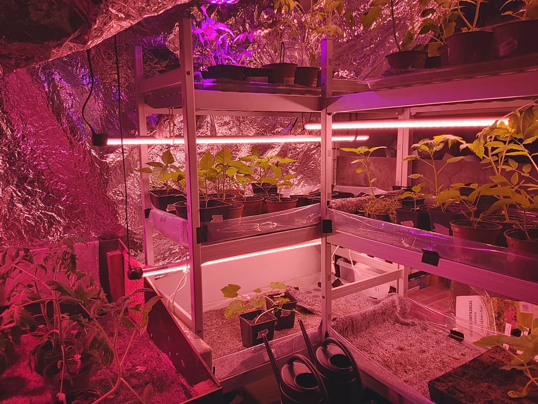KestavanKummi's tweet photo. Taimikasvattamo, viherseinät, ureakastelu sekä ostoskärryviljelmä. Katsotaan voisiko näistä joitakin soveltaa myös kummikohteen  asukkaiden viljelyprojektissa. Kiitos #dodory ! 🌼🏡🌱 #kaupunkiviljely https://t.co/uDsRTcL9Il