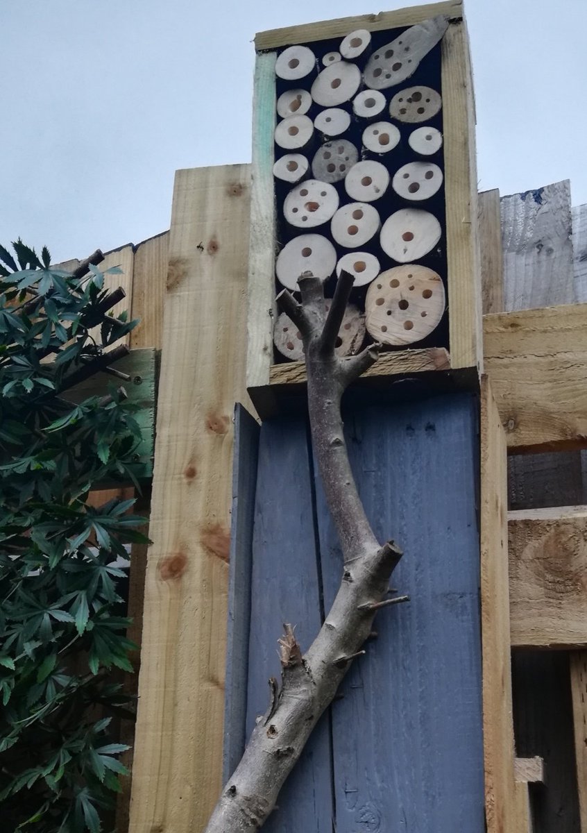 K4T1E13's tweet photo. @StChrisPrimary Layla's been busy helping her Dad with some garden projects. Bee house, bug and hedgehog house...bird house in progress https://t.co/2QSTbPWBVC