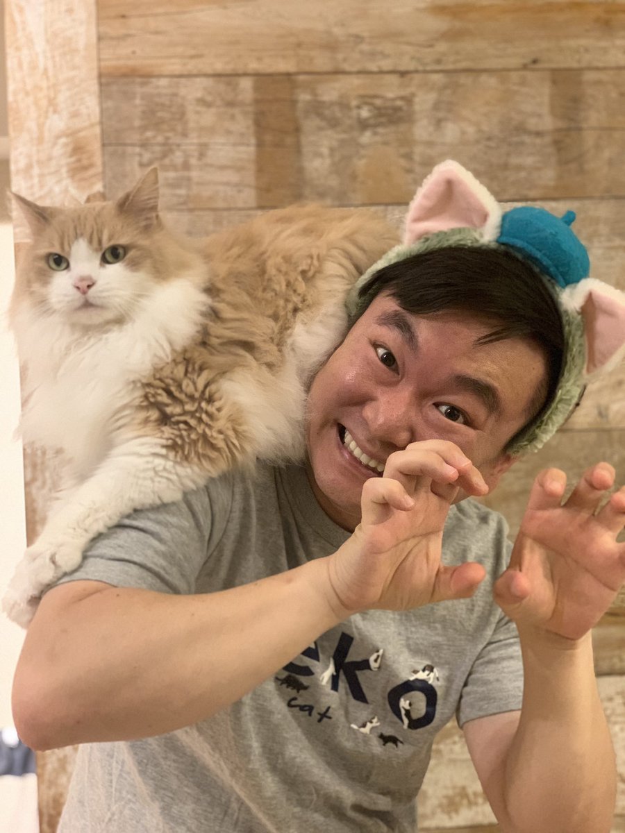 山内健司 Sur Twitter ニャンチューバーねこうちさんの部屋 チャンネル登録お願いしますー T Co Gpceepzbl3