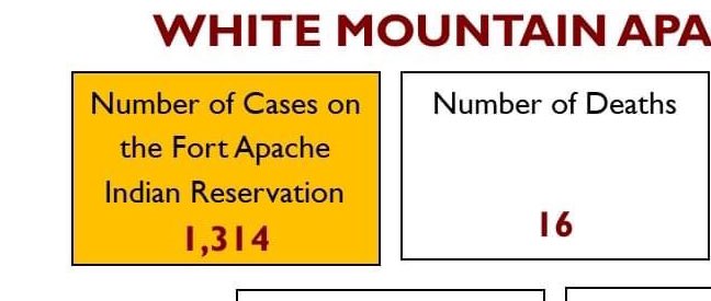 The White Mountain Apache Tribe in Arizona has 1,314 Coronavirus cases.