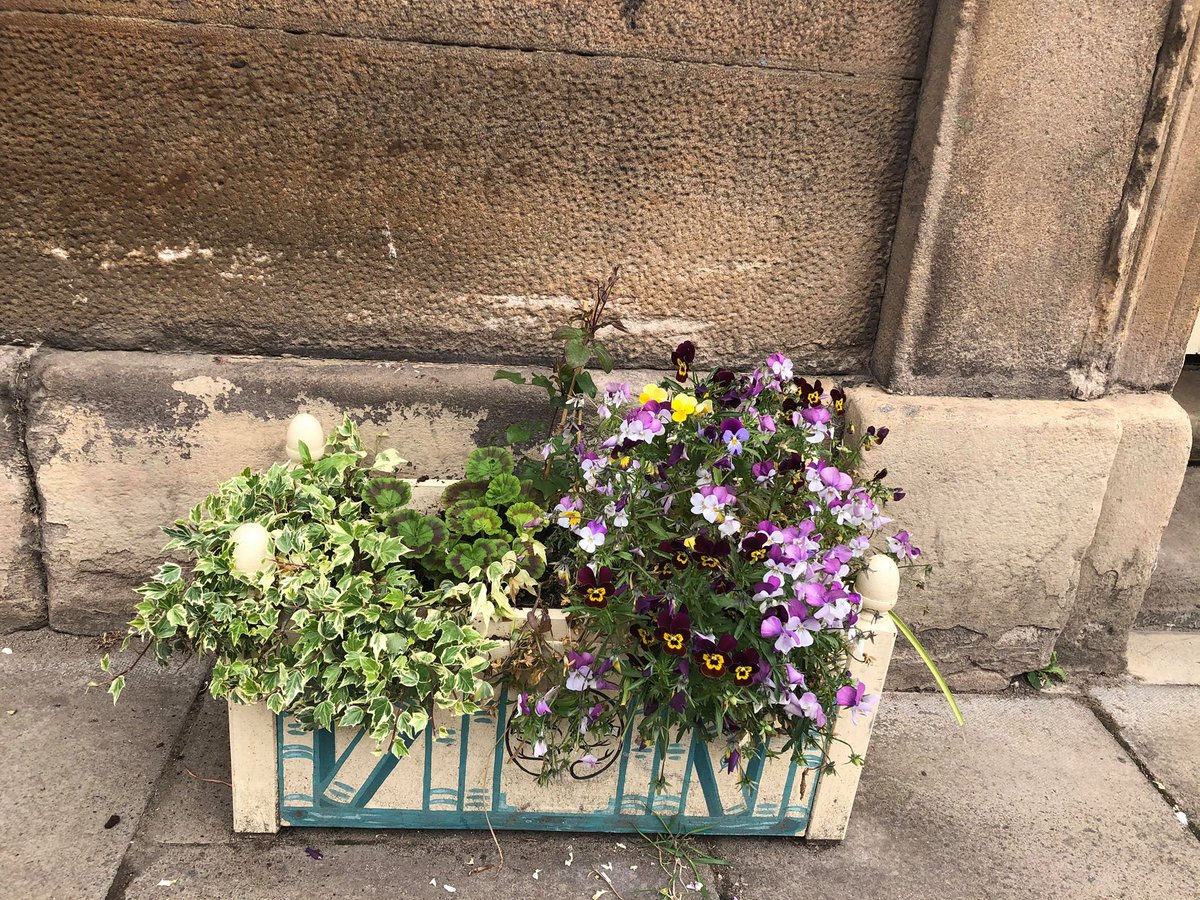 Far From The Madding Crowd Bookshop tweet media