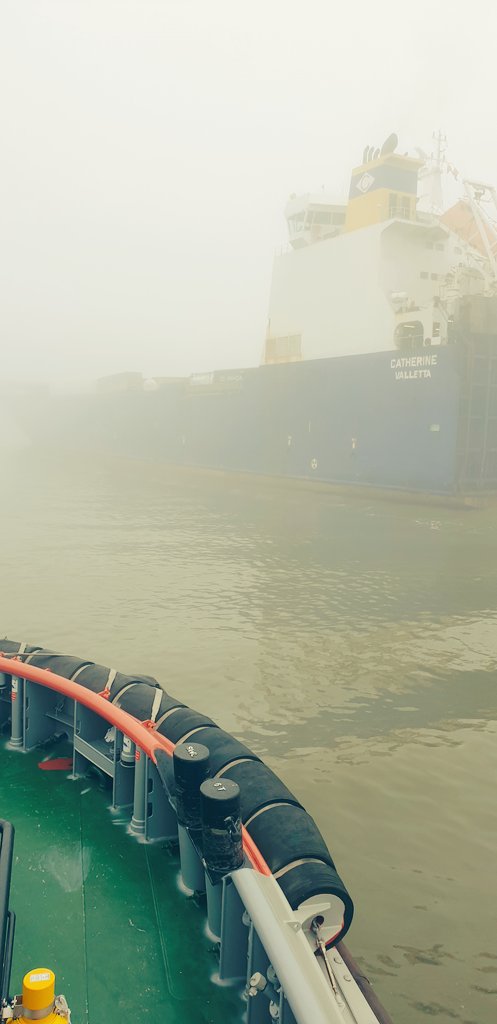 SkinnyRobin's tweet photo. Morning work in the fog https://t.co/Ab3u6e2iHe