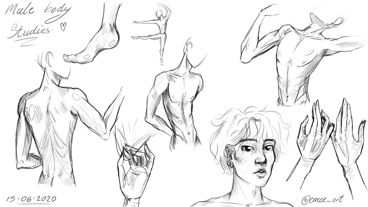 cmeeart_twt's tweet image. Body structure practice #anatomy #bodystructure