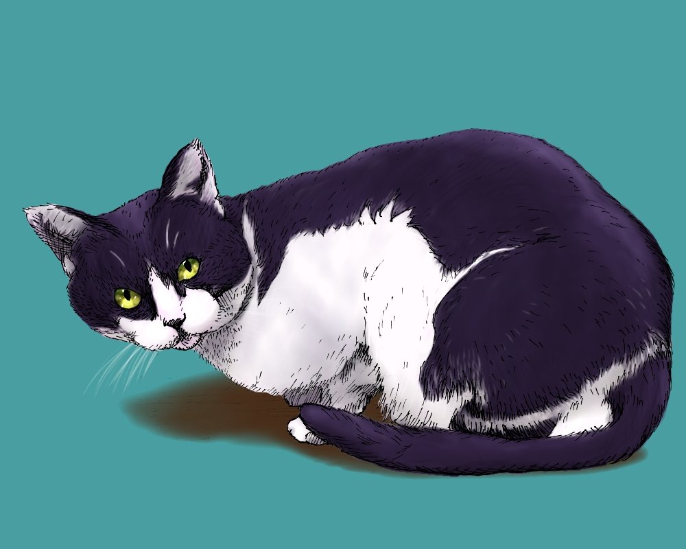 あいきゃっと 様子を伺う猫 イラスト好きな人と繋がりたい 猫好き 猫のいる生活 Cat アイビスペイント 猫の絵 T Co Jditdt8qun Twitter