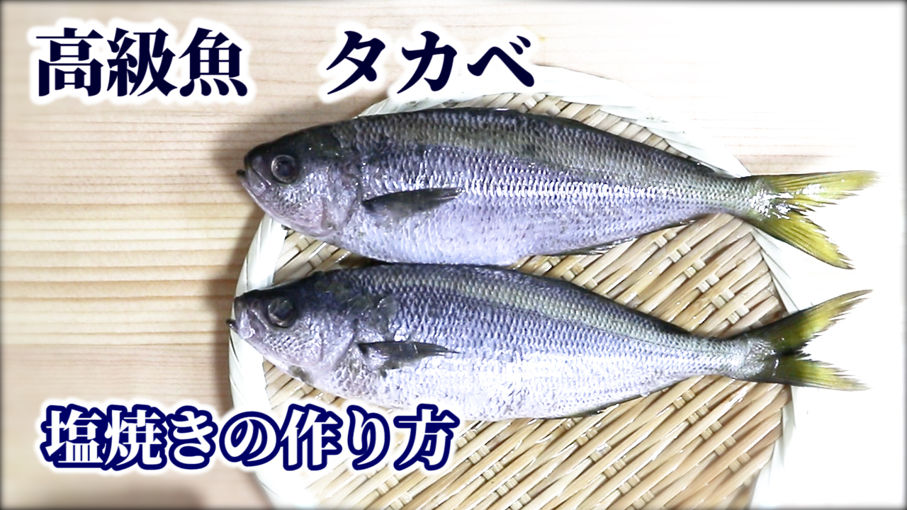 銀座渡利 タカベの塩焼きを作りました 釣れた方 是非試してみてくださいませ 動画 7分46秒 T Co Mm6uqstqhf タカベ 塩焼き 捌き方 釣り 3枚おろし おうちごはん Twitter家庭料理部 料理好きな人と繋がりたい 料理教室 お腹ペコリン部 銀座渡利 タカベの塩焼きを作りました 釣れた方 是非試してみてくださいませ 動画 7分46秒 T Co Mm6uqstqhf タカベ 塩焼き 捌き方 釣り 3枚おろし おうちごはん Twitter家庭料理部 料理好きな人と繋がりたい 料理教室 お腹ペコリン部