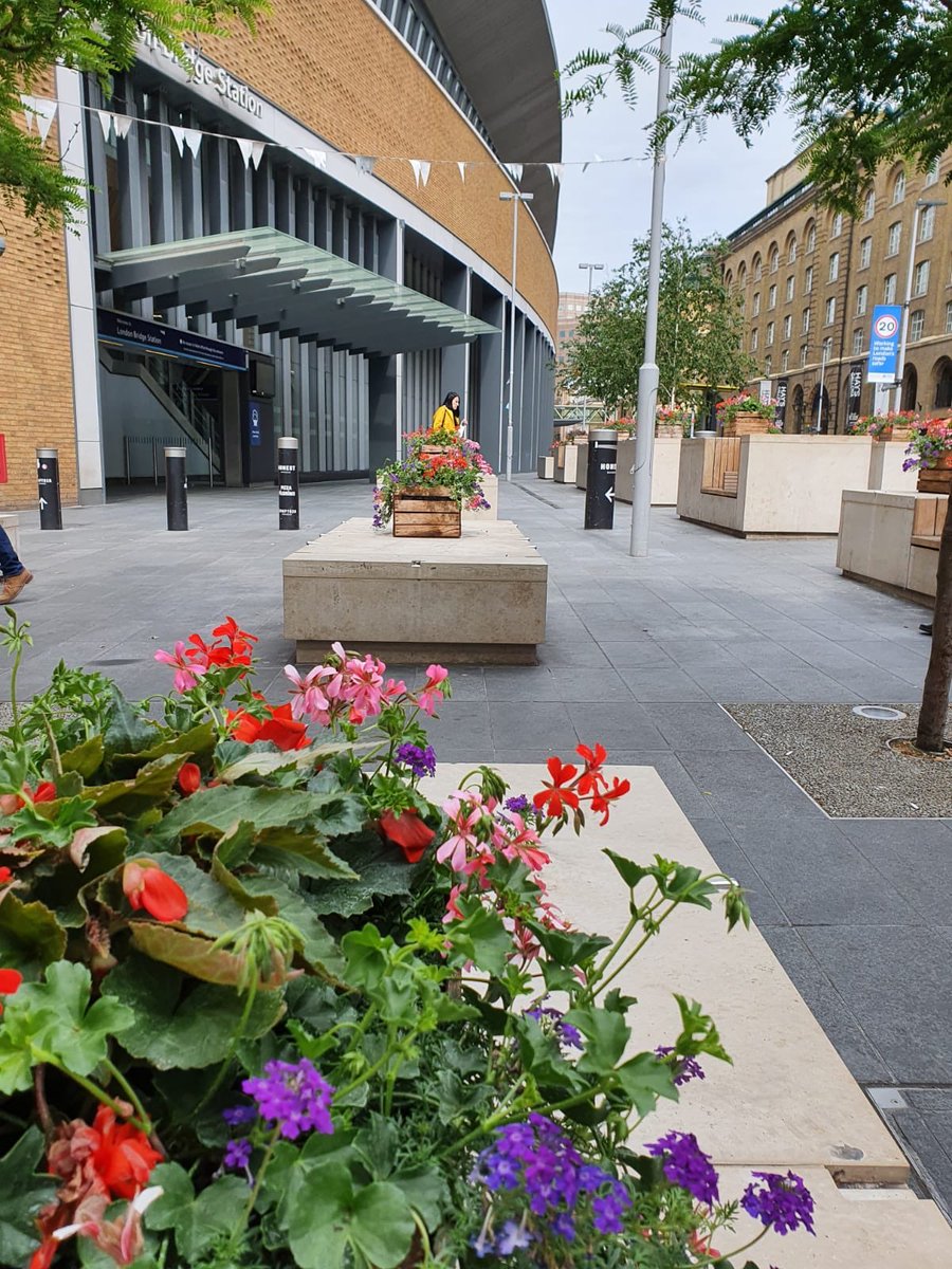CJSPlants's tweet image. Added a splash of colour to London Bridge station this morning, with some planted apple crates. On behalf of @TeamLondonBdg