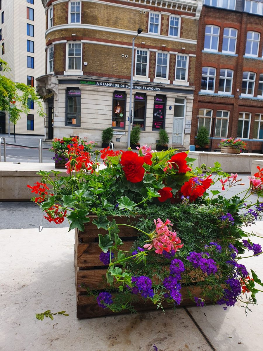 CJSPlants's tweet image. Added a splash of colour to London Bridge station this morning, with some planted apple crates. On behalf of @TeamLondonBdg
