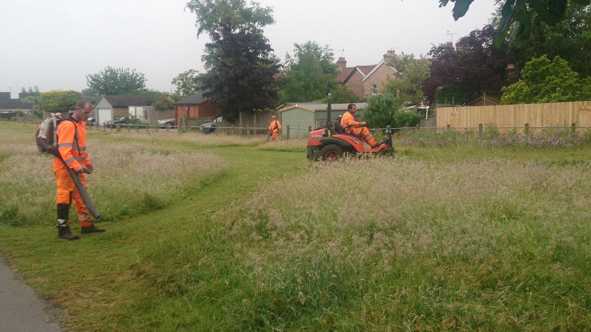 Please RT if you would like to see more of our green spaces managed in this way, leaving areas for Insects, small mammals, birds, amphibians and reptiles #30DaysWild