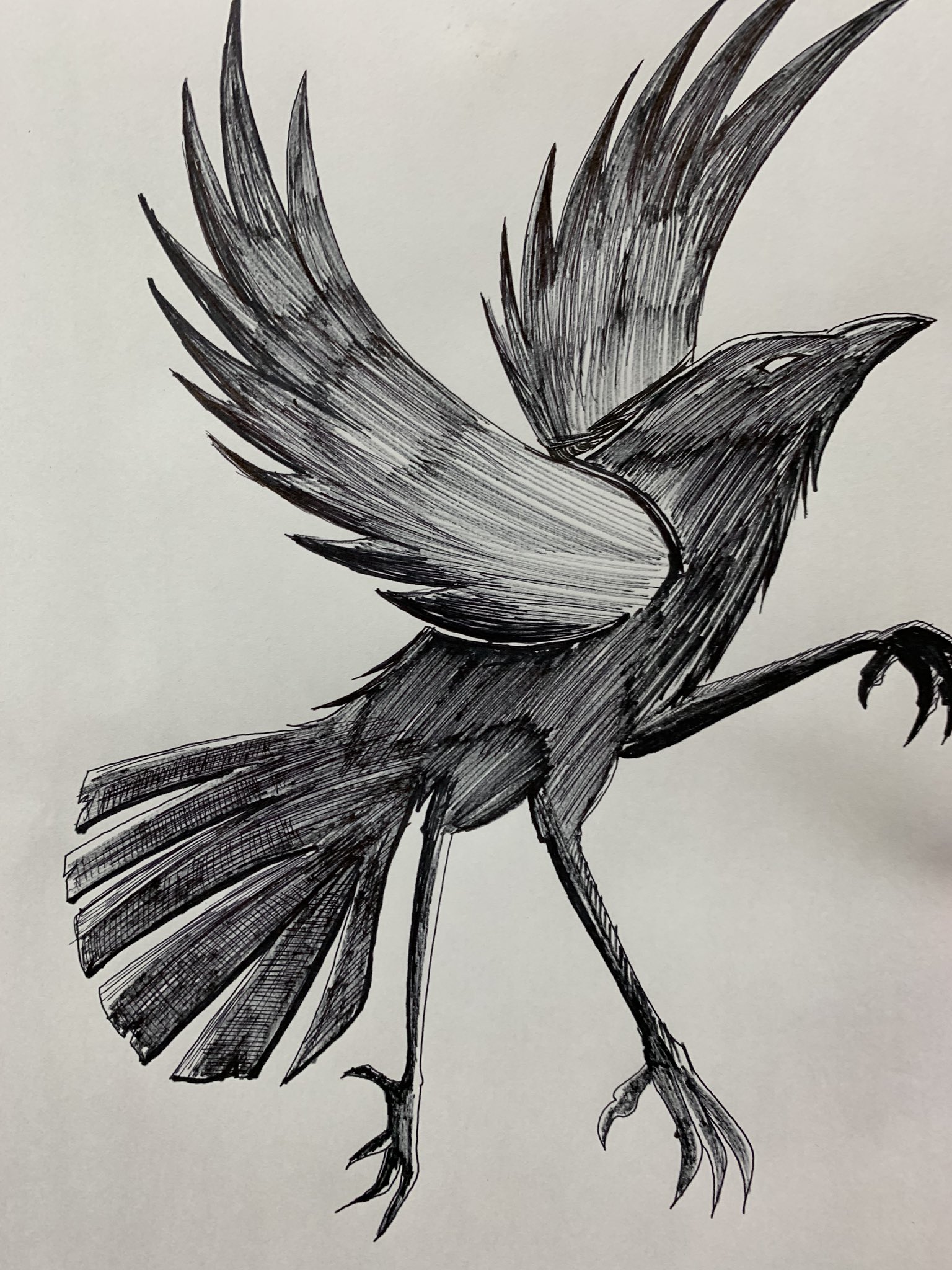 Twitter 上的 水無月アヤ 母親に頼まれてリアルな感じと可愛い感の八咫烏描いてみた 様々な八咫烏イラストを参考に ちなみに三枚目は余力があってアートみたいな感じの描いてみた イラスト 八咫烏 ヤタガラス T Co Gnzzrqlvkm Twitter Twitter 上的 水無月アヤ 母親に頼まれてリアルな感じと可愛い感の八咫烏描いてみた 様々な八咫烏イラストを参考に ちなみに三枚目は余力があってアートみたいな感じの描いてみた イラスト 八咫烏 ヤタガラス T Co Gnzzrqlvkm Twitter