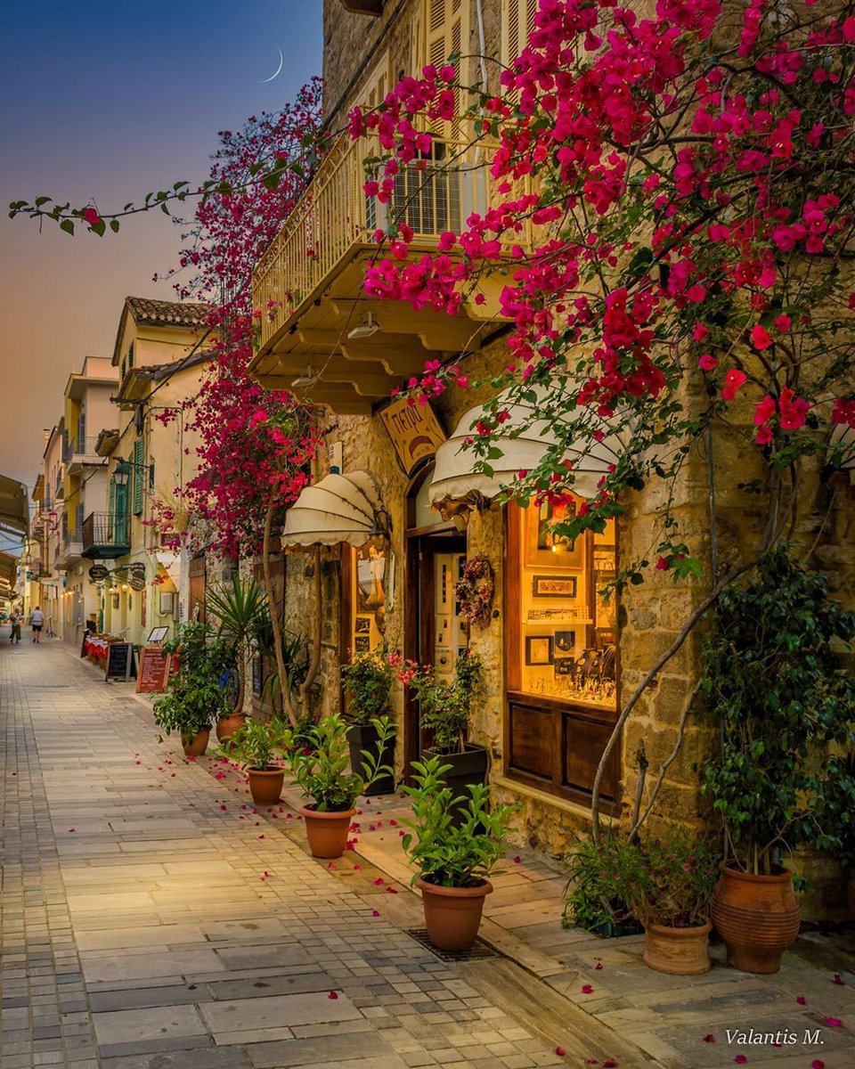 elton_cuisines's tweet photo. Nafplio, Grèce. Foncez suivre ce compte Instagram ⏩ https://t.co/WaYKE1NvTe #TouchOfArt https://t.co/zYetExUJwR
