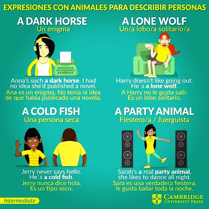 Here are some nice animal expressions in English. Try using some the next time your speaking or writing. Do you have any similar expressions in your language? #starenglish #academiadeingles #englishacademy #idioms #onlineclasses #learnalanguage #speaklikeanative #animals