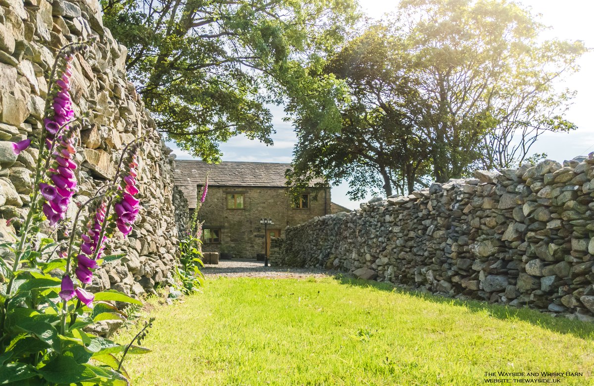 TheWaysideUK's tweet photo. Our path to the fells currently looking very inviting, decorated with vibrant foxglove flowers.💜
#LoveWestLakes #SummerVive #LakeDistrict https://t.co/eLjbHjHFFn
