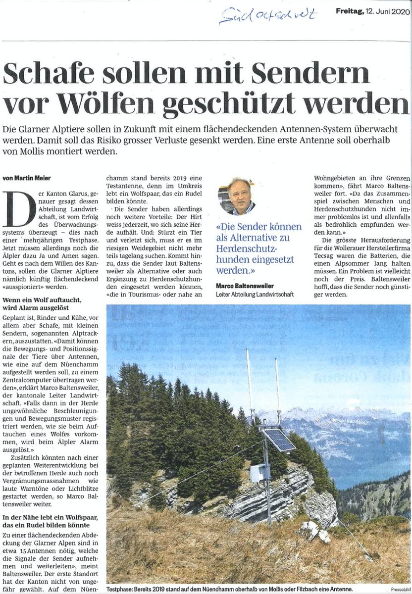 What has the ongoing project of the department of #agriculture of the canton of #Glarus to do with #adnexo? Read more about our #Alptrackers and the prevention of wolf attacks in this #news article from the magazine "Südostschweiz".