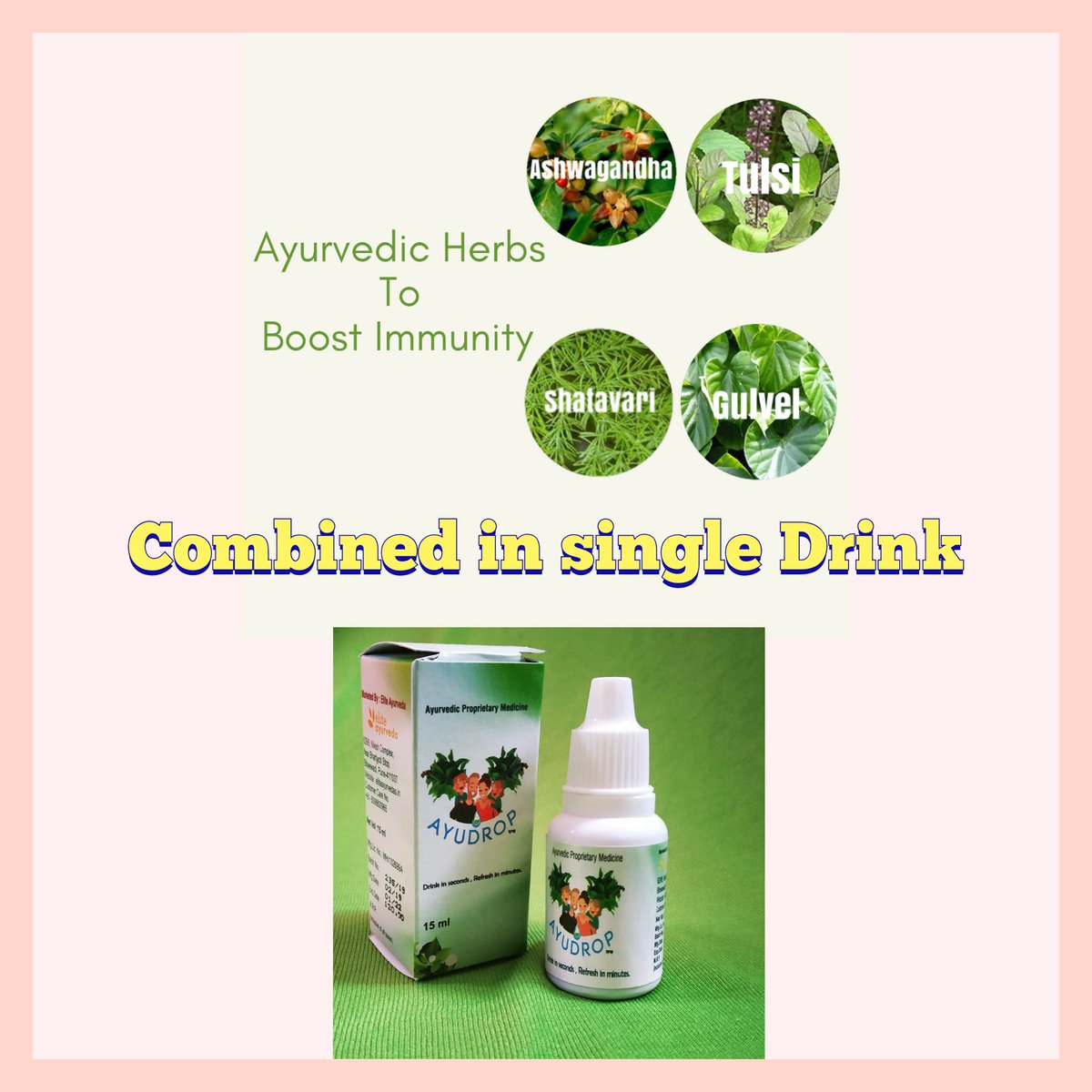 ayurveda_elite's tweet photo. Start your Healthy Day with an Ayurvedic Drink
#Ayudrop with combination of #Ashwagandha #Shatavari #Giloy #tulsi #Pimpli #Anantmool
All these herbs are said to have beneficial effect on our body.
#Healthmatters #Ayurvedic #Herbs #HerbalDrink #DrShirishShepal #Health #Ayurveda https://t.co/m5GWBZFtgP