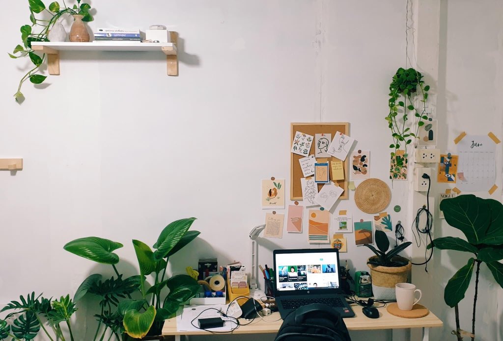 mydayon.vibe💡🥣 tweet media