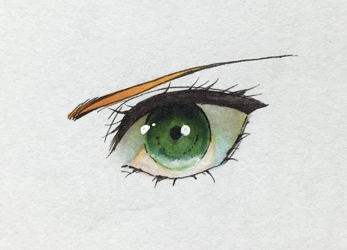 eye focus green eyes white background no humans simple background traditional media solo general  illustration images